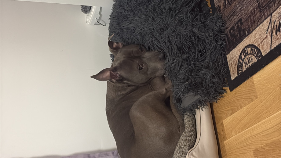 6DFA55E0-6651-4D95-9CA4-9C84C059259A.jpeg